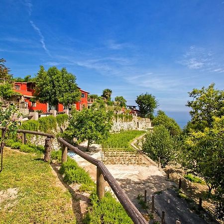 Agriturismo Pera Di Basso Isquia Exterior foto